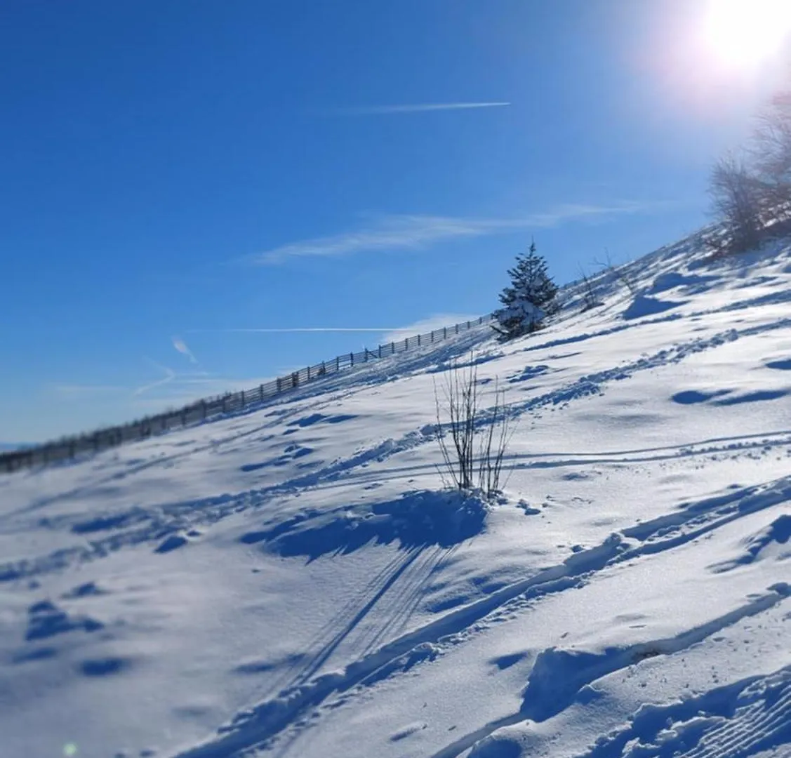 Les Balcons Du Haut-Forez 沙勒马泽勒