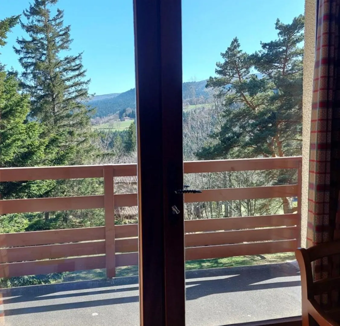 Les Balcons Du Haut-Forez 沙勒马泽勒 度假居